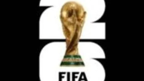 揭秘机动车辆安全统筹：合法车险还是另有玄机？